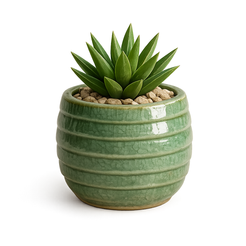 Pot vert