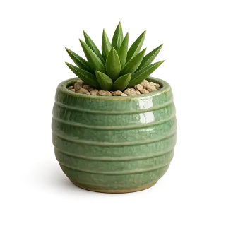 Pot vert